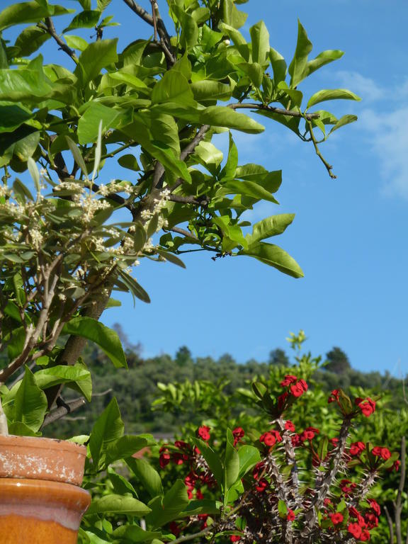 A Durmi Hotel Levanto Luaran gambar