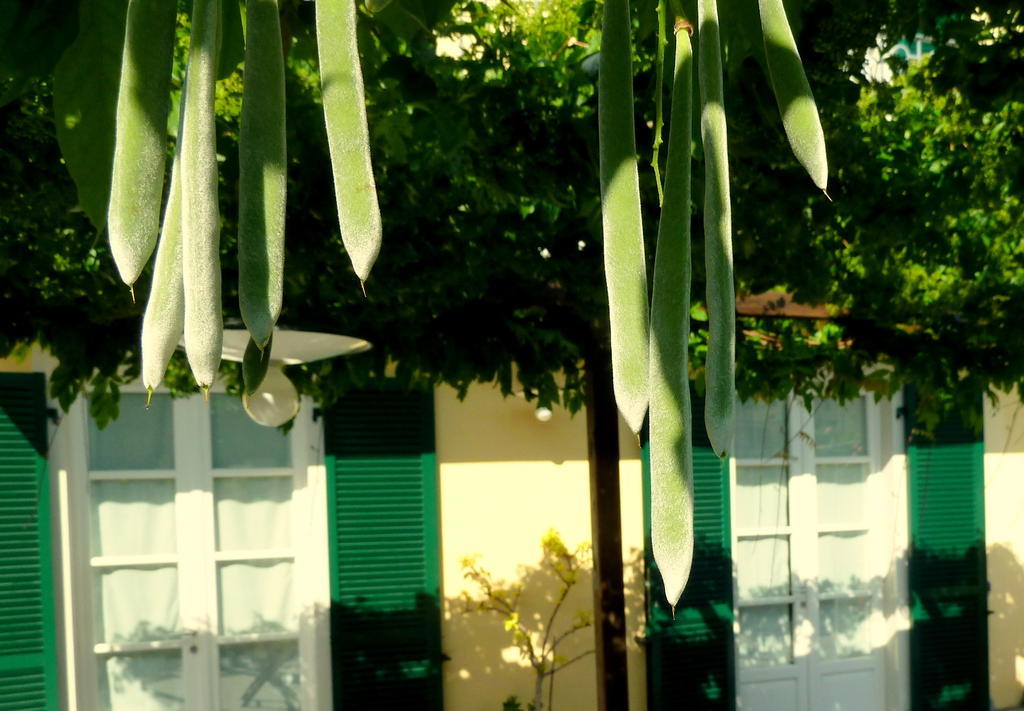 A Durmi Hotel Levanto Luaran gambar